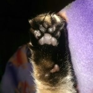 Meet your Posher, Angela